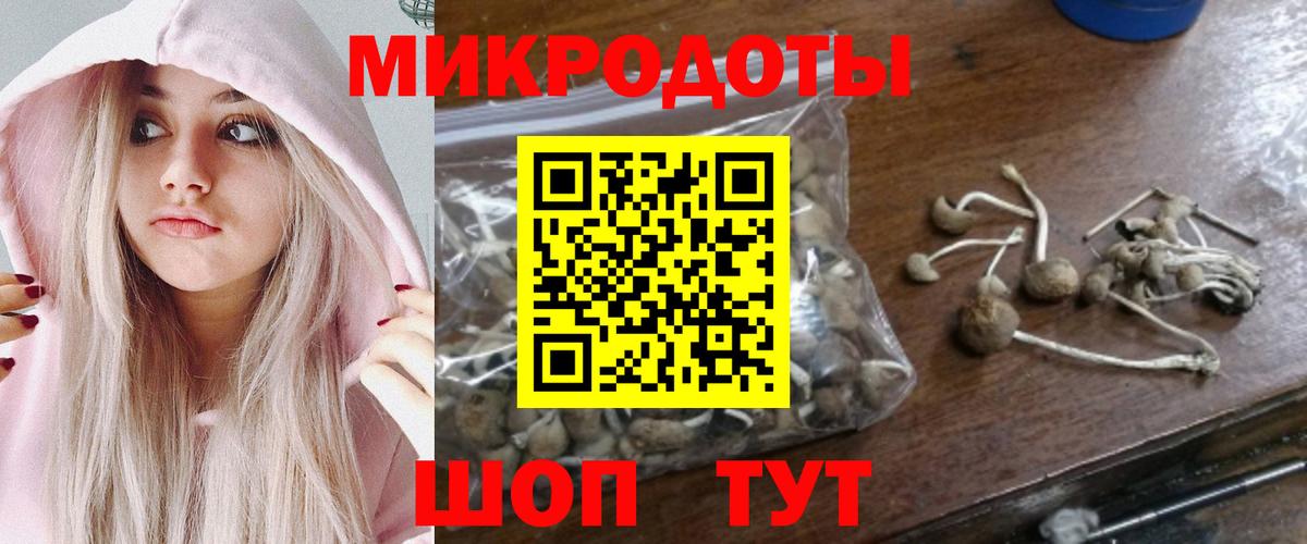 Реж  Псилоцибиновые грибы мицелий  Вход с VPN 