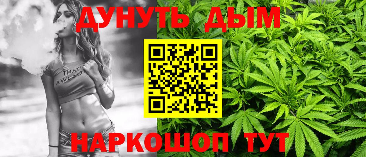 Конопля сатива  Вход с VPN  Реж  МАРИХУАНА Ganja  Шишки марихуана план 